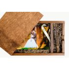 Nagy fénykép + USB tartó fadoboz, 150x230 mm-es, gesztenye