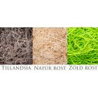 Nagy fadoboz, 150x230 mm-es, mahagóni