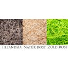 Nyitható fedelű USB pendrive tartó fadoboz 125x70 mm-es, dió